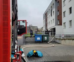 Pożar na lubelskim Felinie. Mieszkanie spłonęło doszczętnie