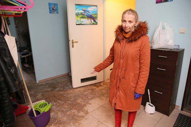 Dramat, mieszkanie komunalne pływa w fekaliach. Pani Magda załamuje ręce: "Tak jest od 15 lat"