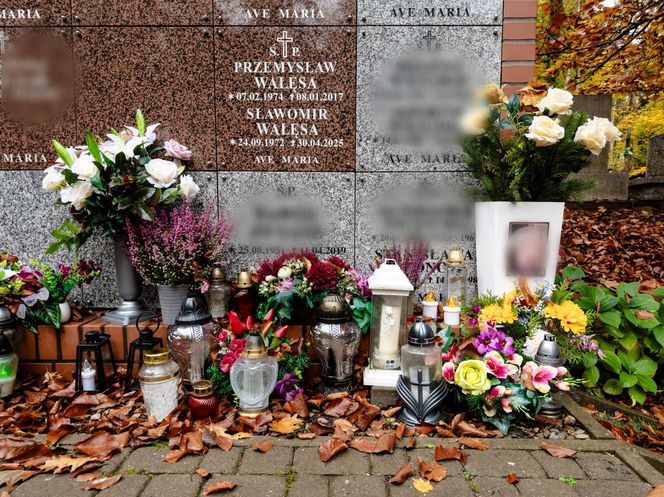 Grób synów Lecha Wałęsy, Przemysława i Sławomira