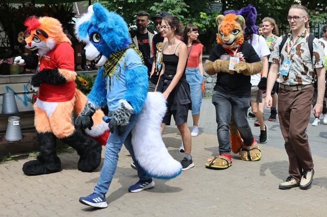 Marsz futrzaków w Lublinie. Tak wyglądał I Lubelski Fursuitwalk