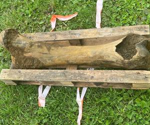 Niezwykłe odkrycie na terenie Małopolski. Podczas wędkowania znaleziono kość należącą do mamuta [GALERIA]