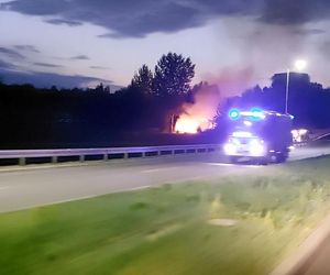 Pożar pustostanu w Rzeszowie [GALERIA]