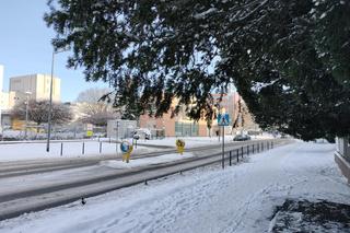 Takiej zimy we Wrocławiu  nie było od kilku lat. Zobacz te piękne ośnieżone miejsca