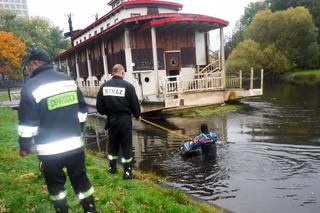 Kotek wyrwany śmierci