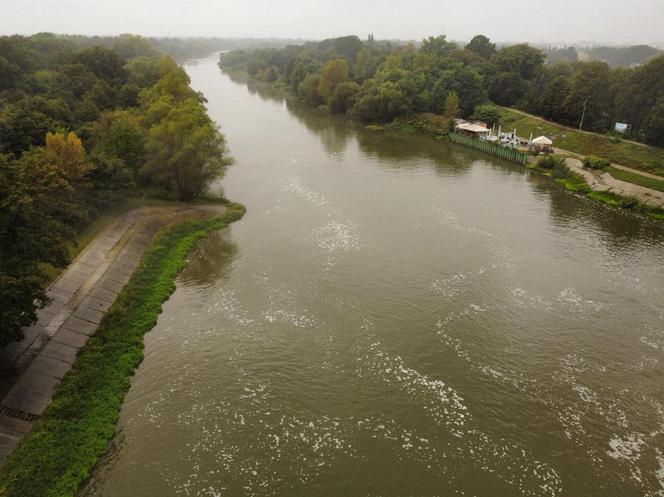 Ulewne deszcze nad Polską. Przybywa wody w rzekach 