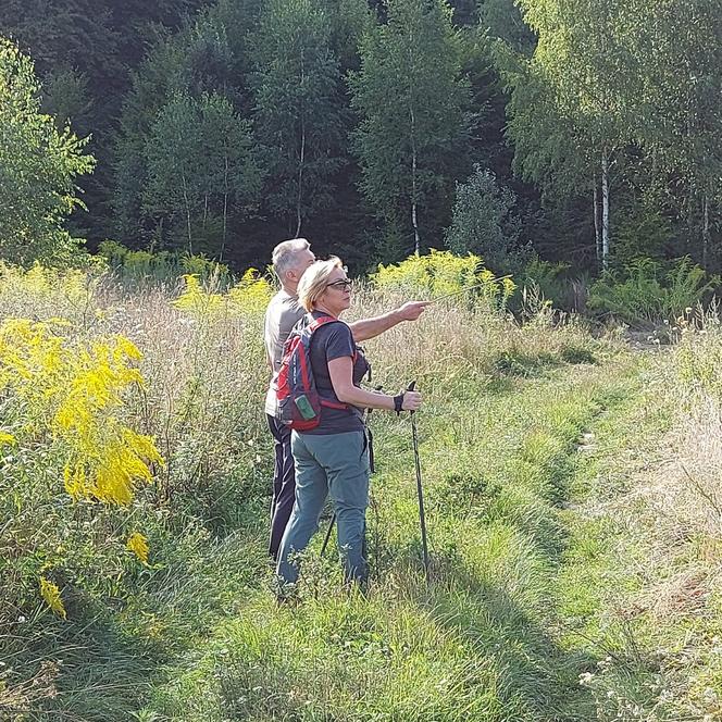 Jadwiga Wiśniewska z Brukseli przyjeżdża kopać w ogródku