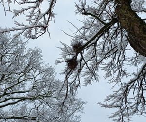 Leszno wygląda bajkowo! Na walentynki sypnęło śniegiem