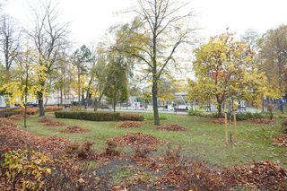 Park im. Cyryla Sroczyńskiego we Wronkach 