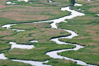 Narwiański Park Narodowy