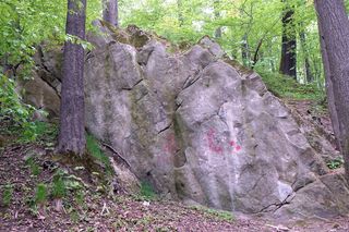 Rezerwat Grapa w Żywcu