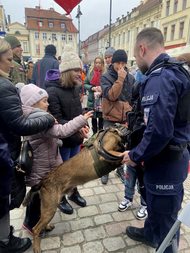 Ile bydgoszczanie zebrali na finale WOŚP? Mamy pierwsze wyniki liczenia w sztabie