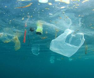 Ocean jest pełen plastiku. Wyniki badań są zatrważające