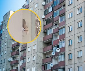 Sąsiadka wystawiła głowę przez okno, a on wszystko nagrał! Ruszyła lawina komentarzy!