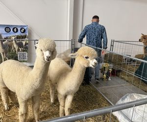 ZooPark w Lublinie. Dzień drugi