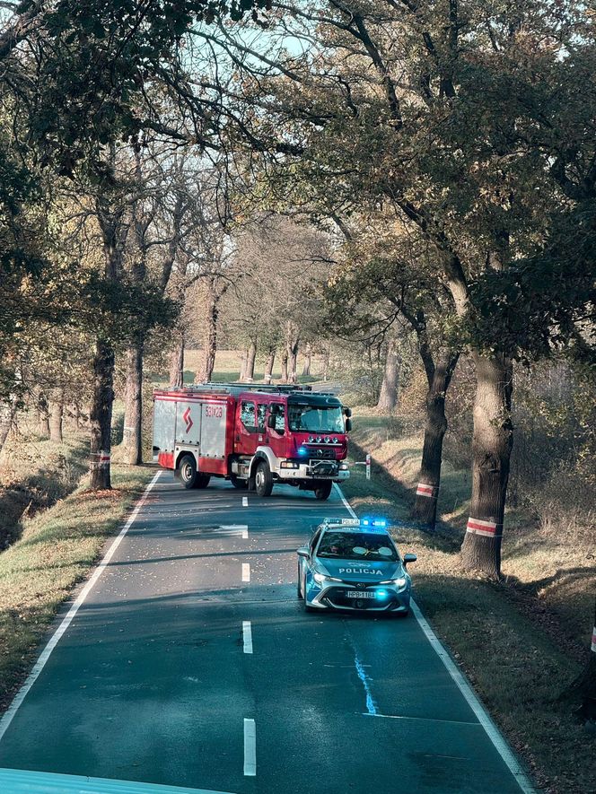 Tragiczny wypadek koło Polkowic