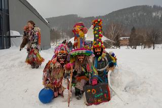 Niesopusty w Węgierskiej Górce5