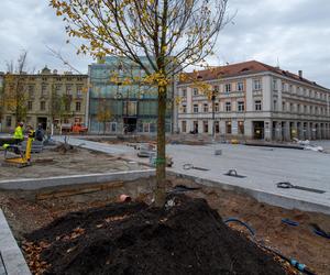 Plac Wolności coraz bardziej zielony