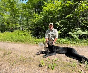  Niewiarygodne spotkanie z niedźwiedziem! Musisz to zobaczyć