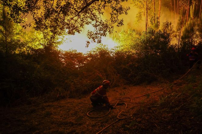 Groza w Portugalii! Tornado ognia i trąba z pyłów