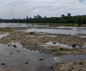 Warszawa. Rekordowy stan wody w Wiśle