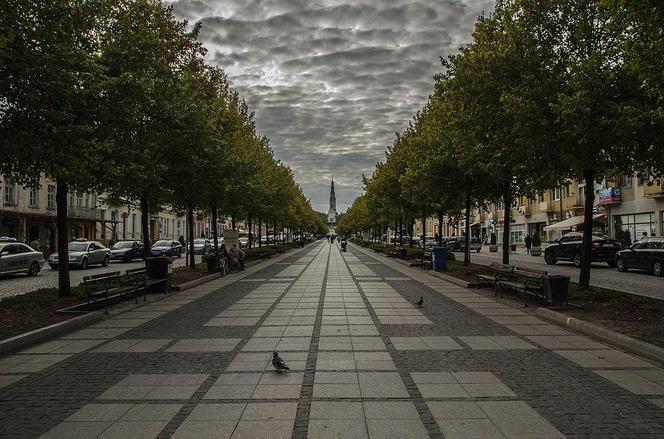 33. Częstochowa - 1145,75 zł na osobę