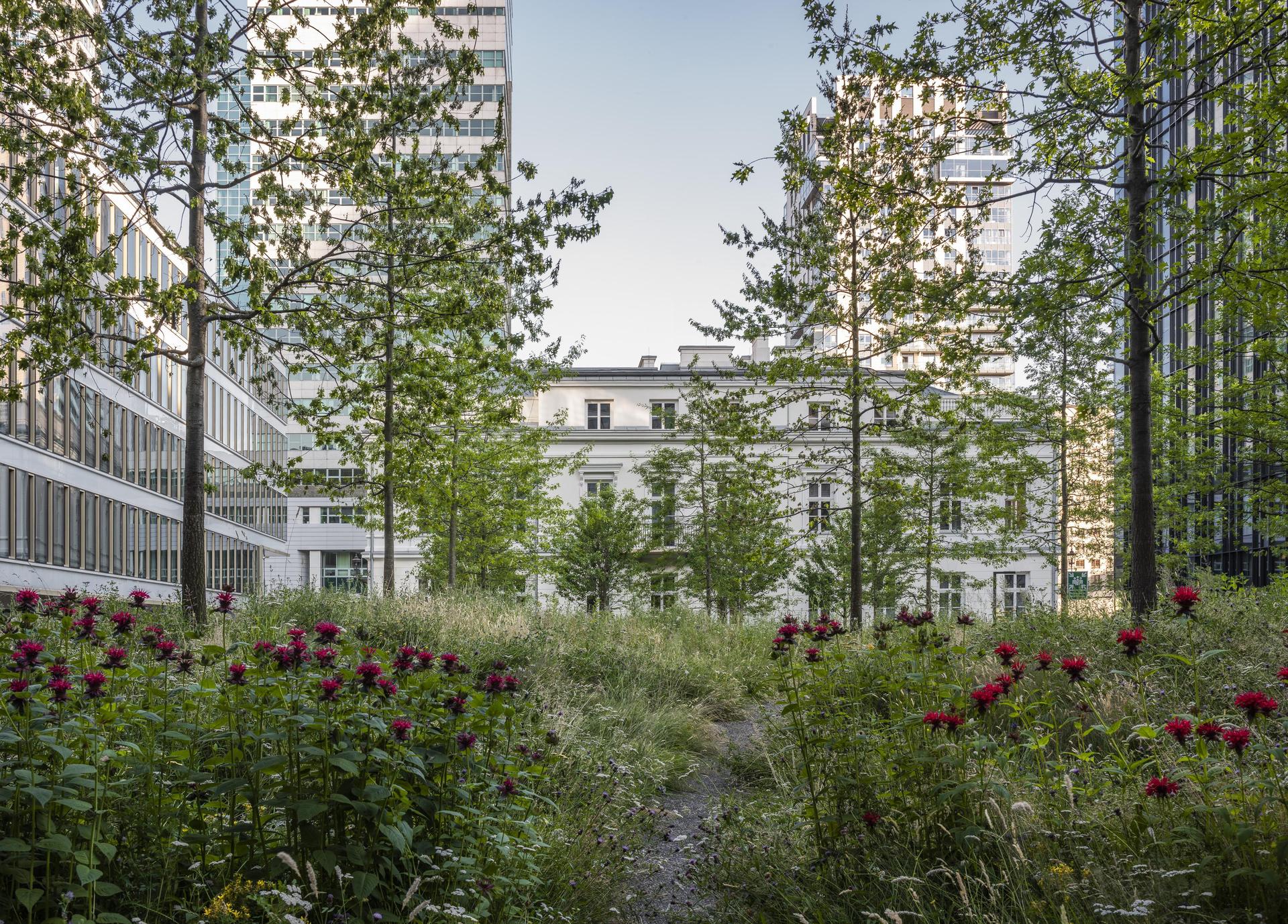 Browary Warszawskie, proj. JEMS Architekci