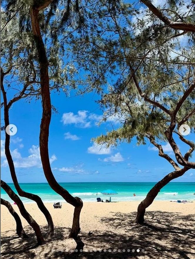 Ten wpis Anity Werner poruszył tysiące osób. Nikt się tego nie spodziewał!