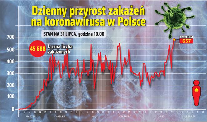Koronawirus w Polsce. Wykresy, grafiki, statystyki (31 lipca)