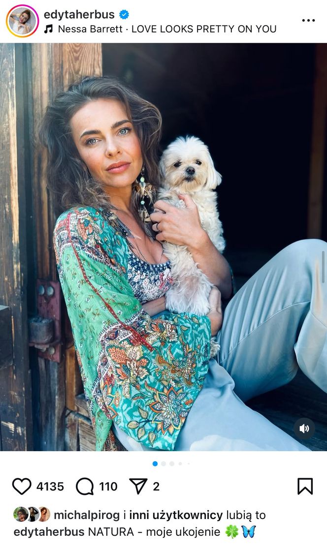 Te psy skradły serca gwiazd! Niektóre wyglądają jak z bajk