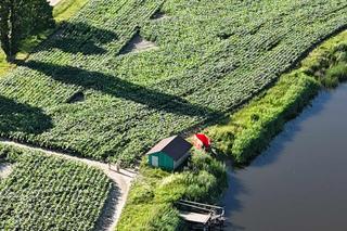 Koszmarny finał pierwszego dnia wakacji. 14-latek utonął w stawie pod Warszawą. Był na rybach z wujkiem