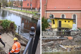 Koparki pracują na brzegu Brdy, przy farze w Bydgoszczy. Warta 4 miliony złotych inwestycja powstaje z myślą o... rybach