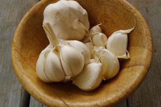 Czosnek
