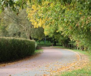 Jesienna odsłona terenów nad Bystrzycą w Lublinie. Tak się prezentuje w październiku