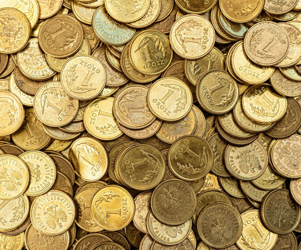 Prawie 50 mln złotych na inwestycje w powiecie szczecineckim w przyszłym roku