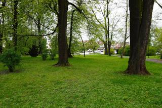 Park Bronowice wiosną 2024