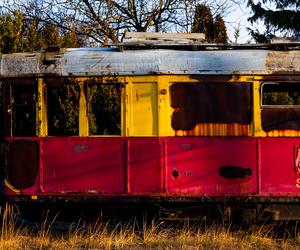 Zobacz kolekcję starych tramwajów w prywatnym ogrodzie - zdjęcia. Wagony stoją na działce w Warszawie