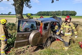 Auto rozbiło się na drzewie. Nie żyje 20-latka, jej 14-letnia siostra walczy o życie