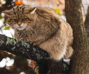 Zima w zoo we Wrocławiu. Zobacz, jak zwierzaki radzą sobie w chłodne dni 