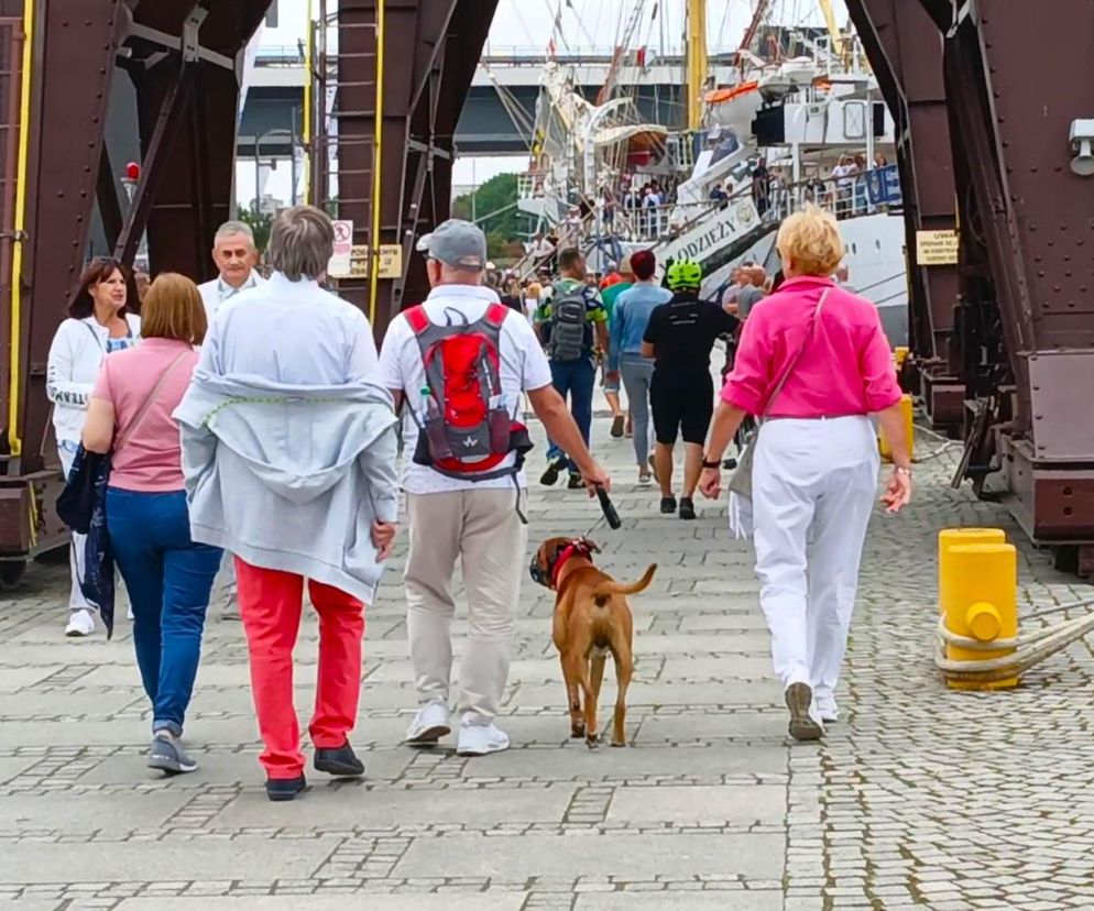 The Tall Ships Races 2024 w Szczecinie