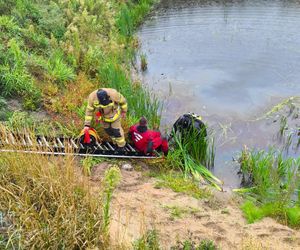 Tragedia w Łódzkiem. Strażacy wyłowili zatopiony samochód