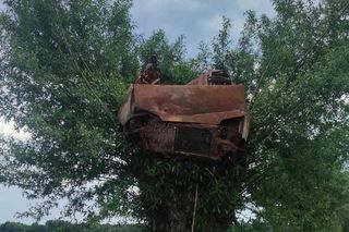 Spalony wrak samochodu zawisł na drzewie. Niecodzienna interwencja w Radostowie