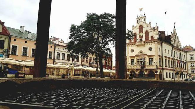 Wybory samorządowe 2018: Są już oficjalne wyniki wyborów prezydenta Rzeszowa i członków Rady Miasta