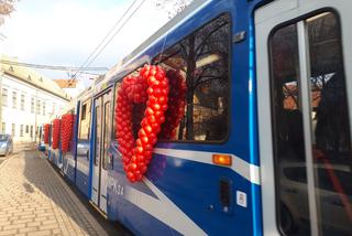 Specjalny tramwaj i... walka o budki lęgowe czyli krakowianie świętowali walentynki