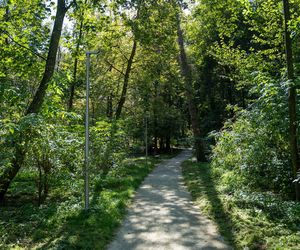 Zabytkowy park pod Lubawą zmienił się nie do poznania. Teraz wygląda jak z bajki