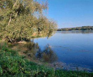 Wisła w Fordonie wyraźnie przybrała i przyspieszyła. Duża woda niesie mnóstwo śmieci i zanieczyszczeń