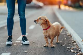 Mandaty, o których istnieniu możesz nie wiedzieć 