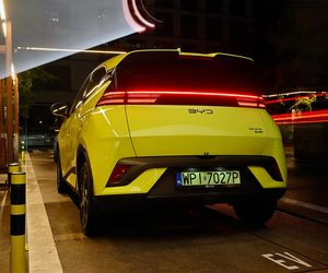 BYD DOLPHIN SURF