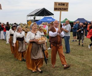 Korowód dożynkowy na dożynkach wojewódzkich 2025 w Świdniku
