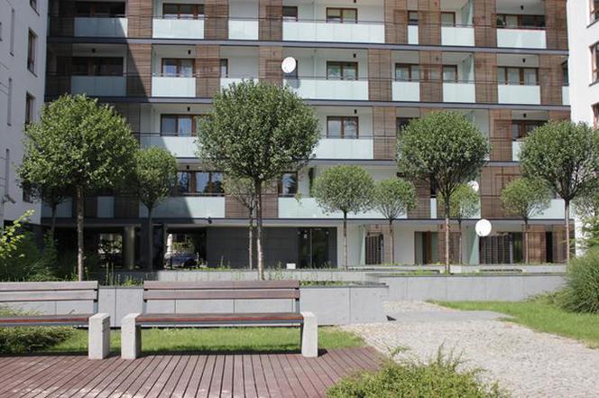 Projekt zieleni i małej architektury dla budynku Apartamenty Leszczyńska