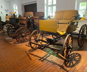 Pałac w Rogalinie zachwyca turystów. Znajduje się 20 kilometrów od Poznania 